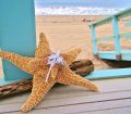 Starfish Decorations For Wedding Party