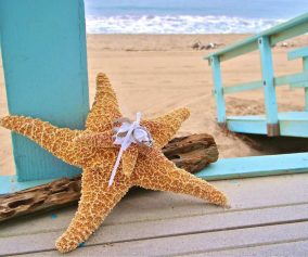 Starfish Decorations For Wedding Party
