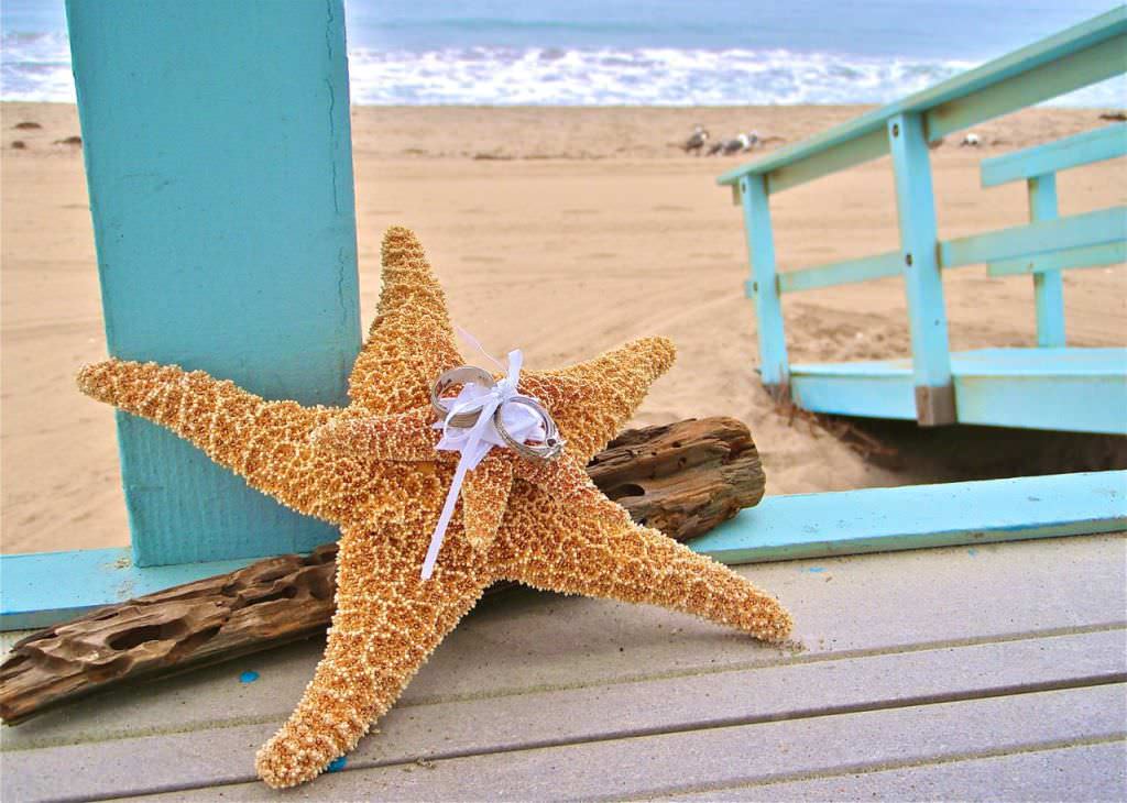 Image of: Starfish Decorations For Wedding Party
