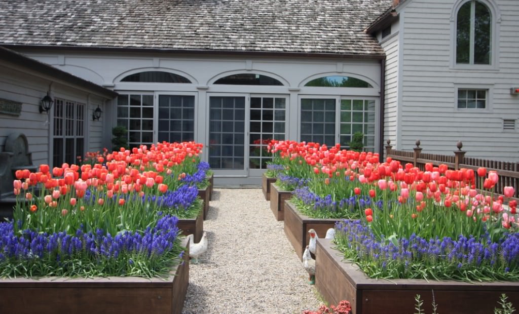 Colorful Flower Bed Ideas Front Of House