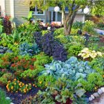 Flower Bed Ideas Front Of House Design