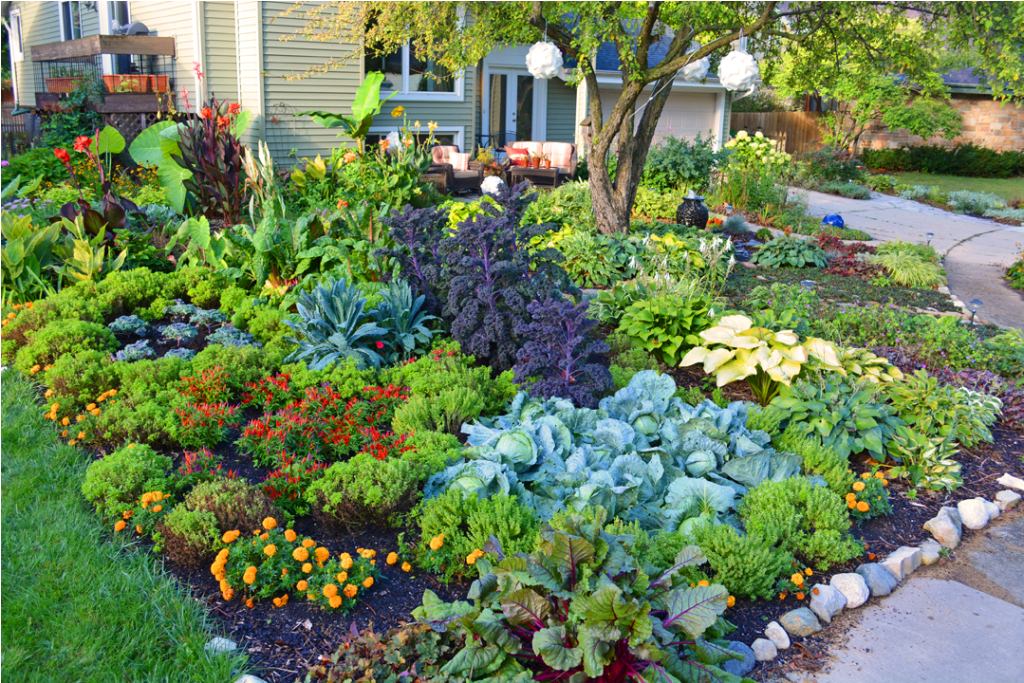 Image of: Flower Bed Ideas Front Of House Design