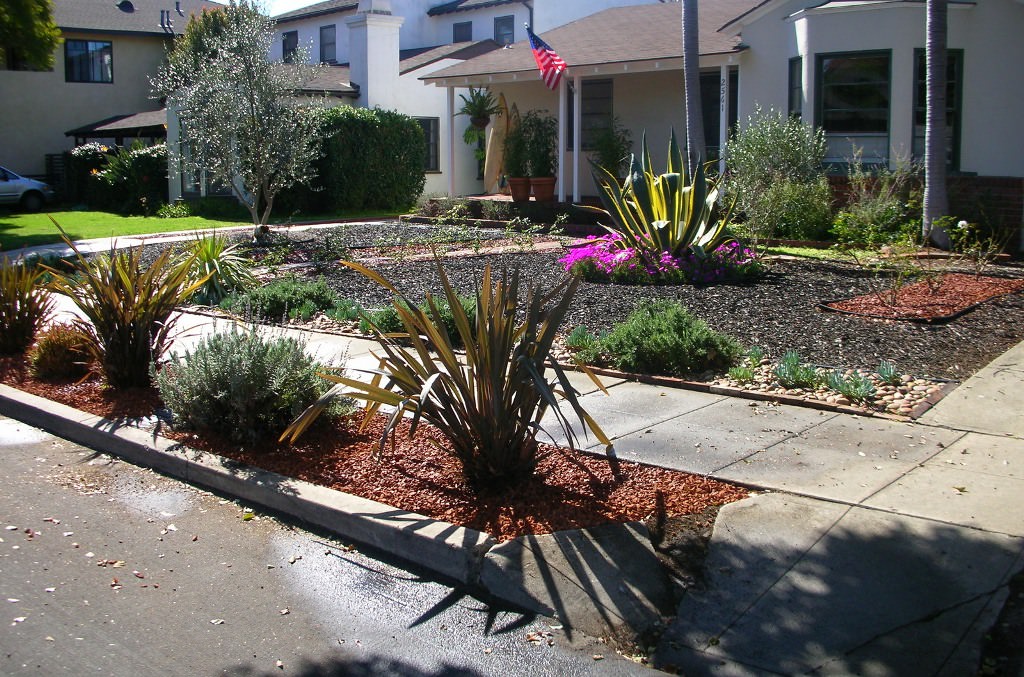 Image of: Low Maintenance Front Yard Landscaping