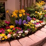 Nice Flower Bed Ideas Front Of House