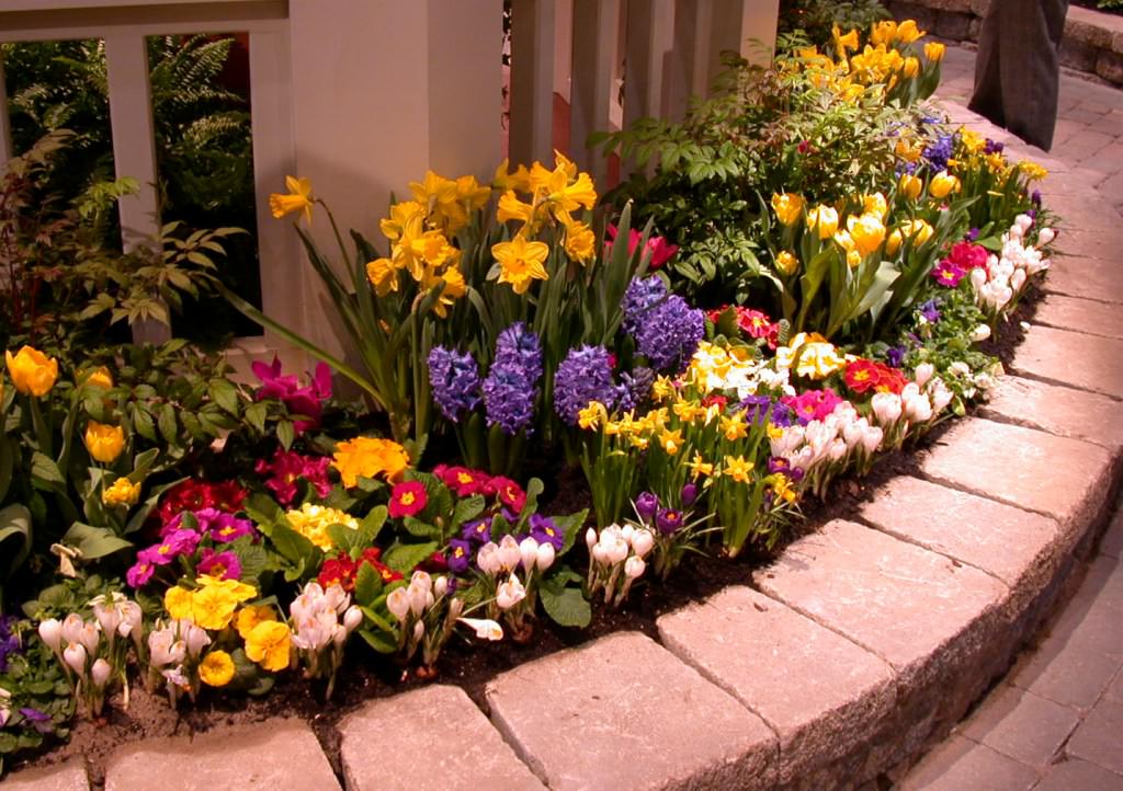 Image of: Nice Flower Bed Ideas Front Of House