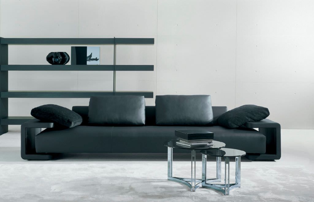 Image of: Contemporary Leather Sofas Italian