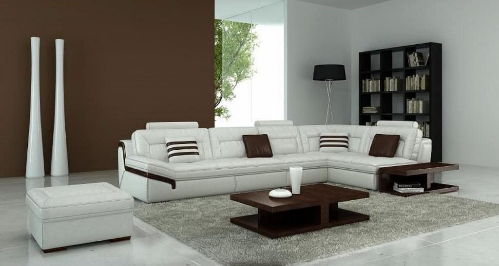 Image of: Contemporary Leather Sofas