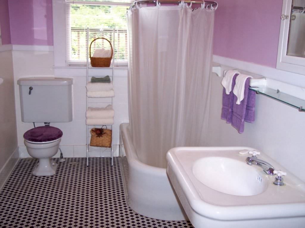 Image of: Extremely Tiny Bathrooms With Showers