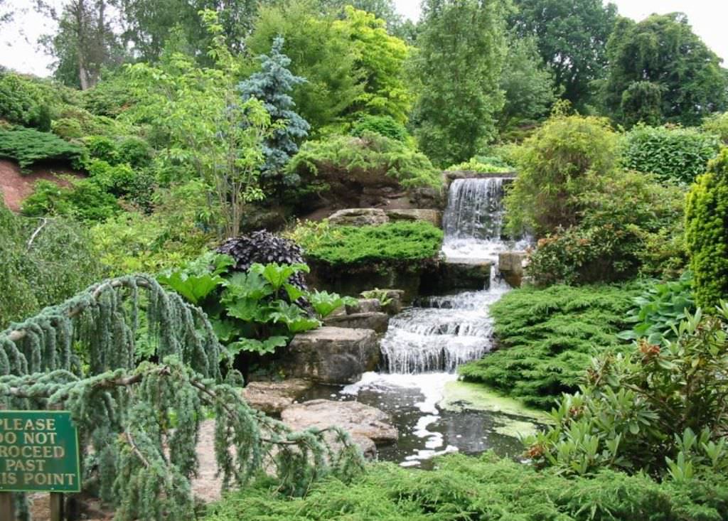 Image of: Garden Waterfall Pictures