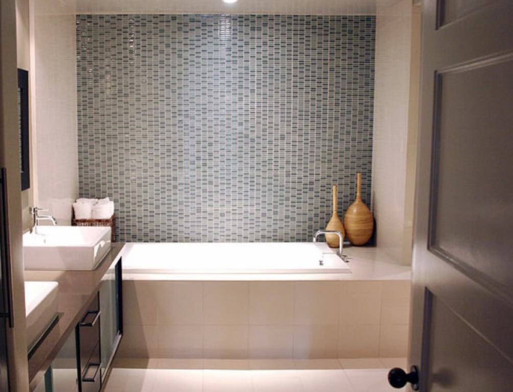 Image of: Small Bathroom Designs With Tub And Shower