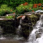 Waterfall Gardens