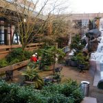 Waterfall Gardens Landscape Designers