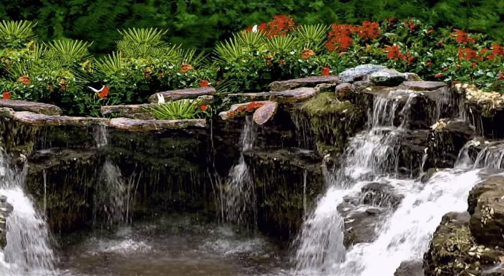 Image of: Waterfall Gardens