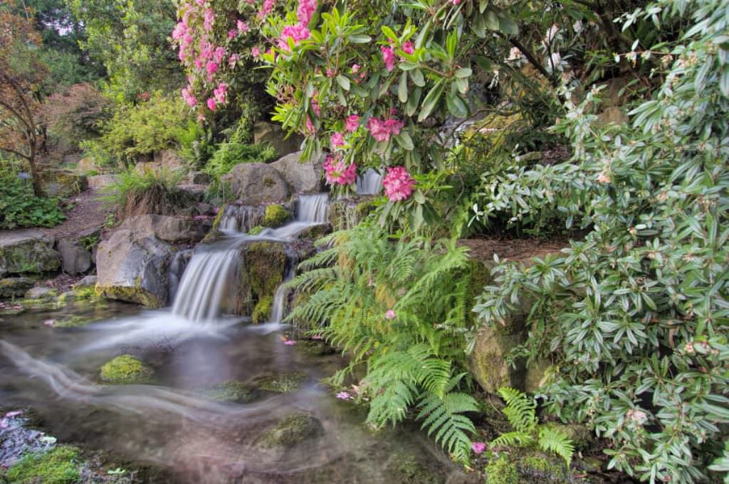 Image of: Waterfall Landscaping