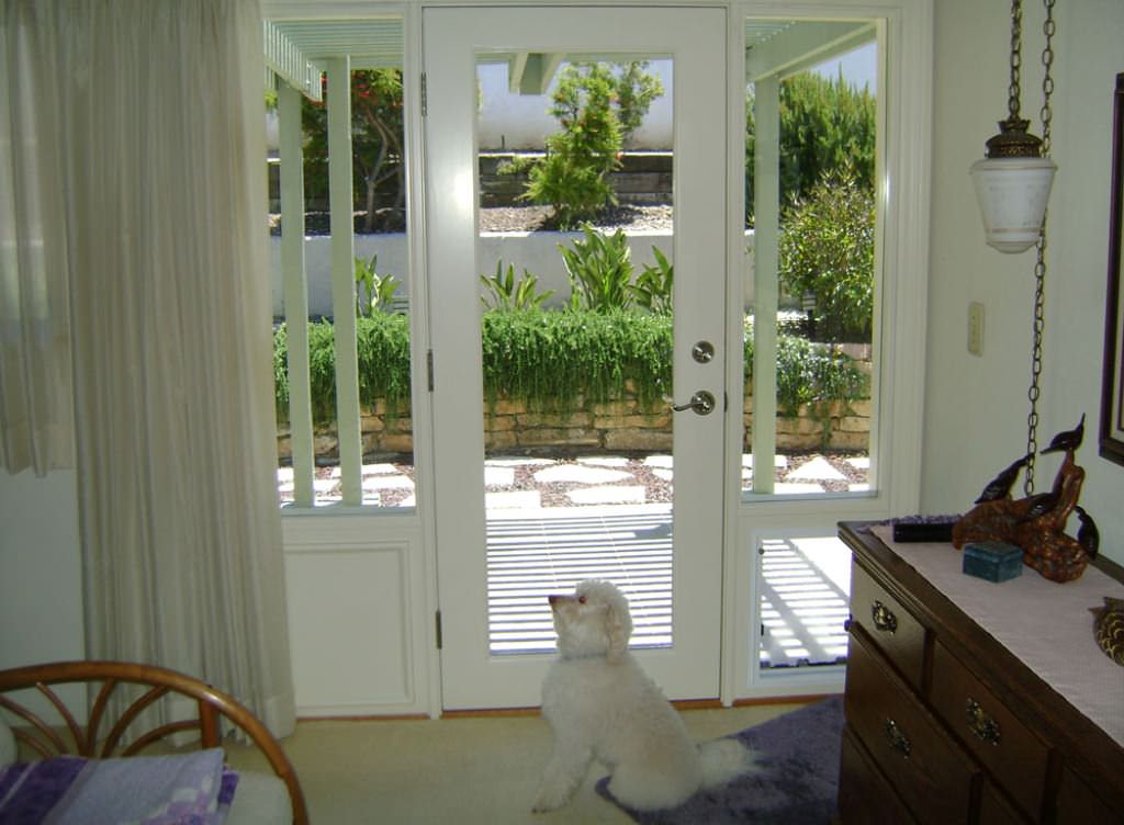 Image of: French Door With Doggie Door Insert