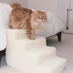 Portable Staircase For Cats