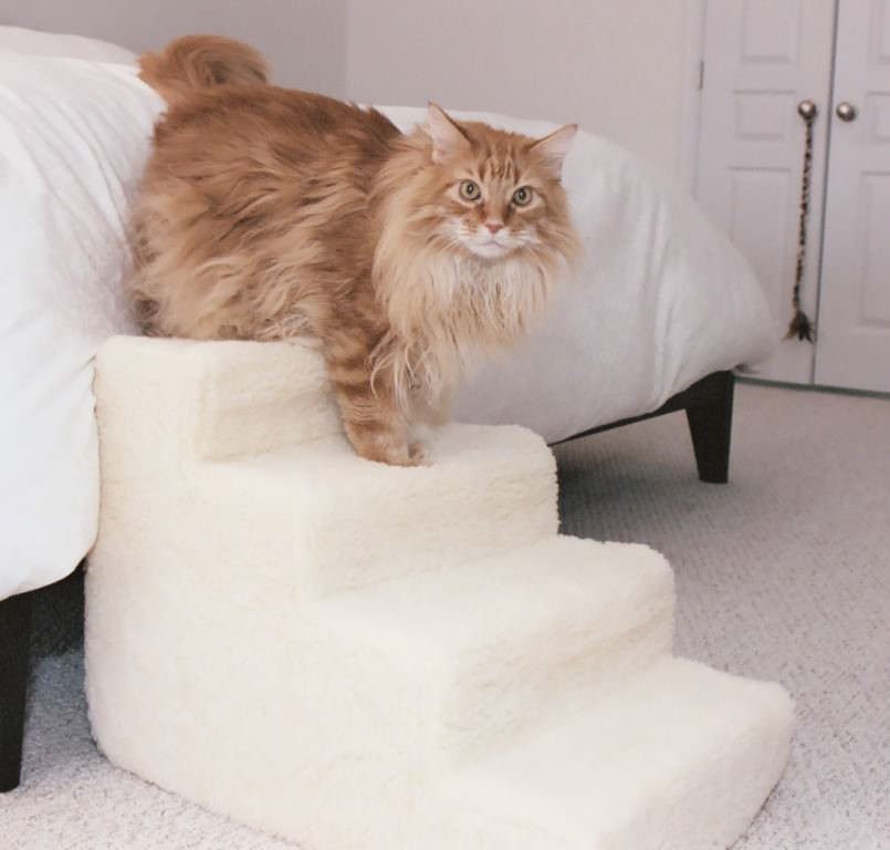 Portable Staircase For Cats