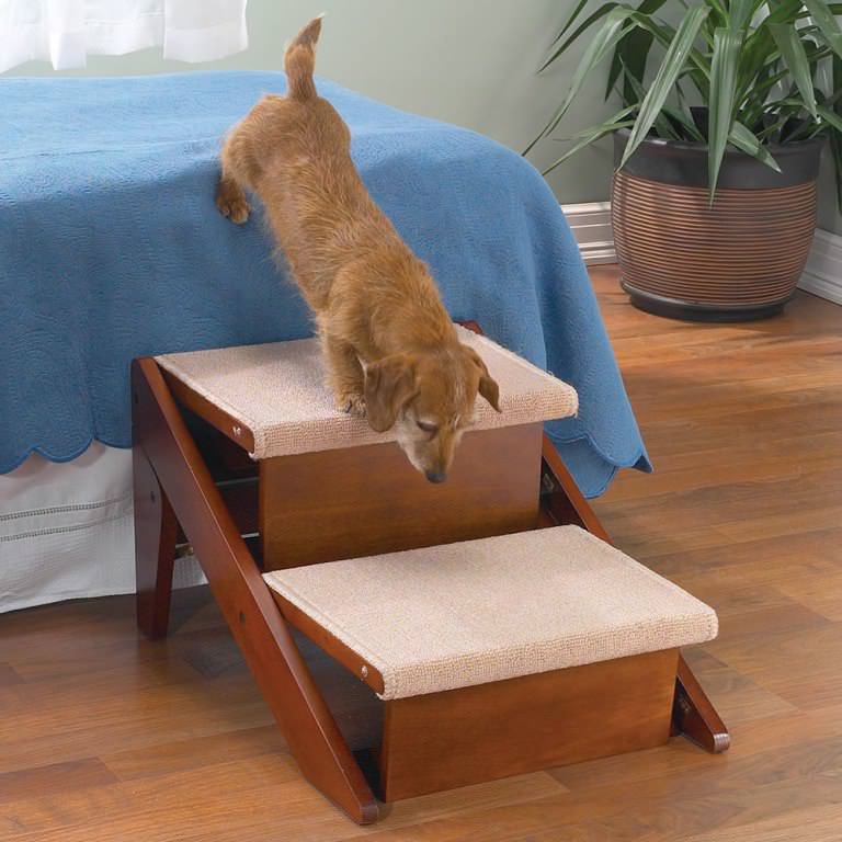 Image of: Portable Staircase For Pets