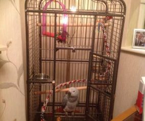 corner-aviary-bird-cage