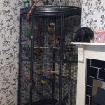 corner-bird-cage-idea-for-bedroom