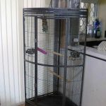 corner-bird-cages