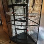 jasper-corner-bird-cage