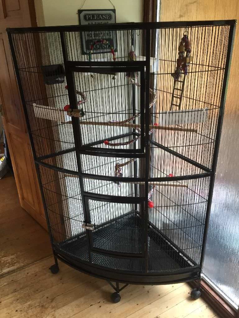 Image of: jasper corner bird cage