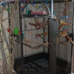 large-corner-bird-cages