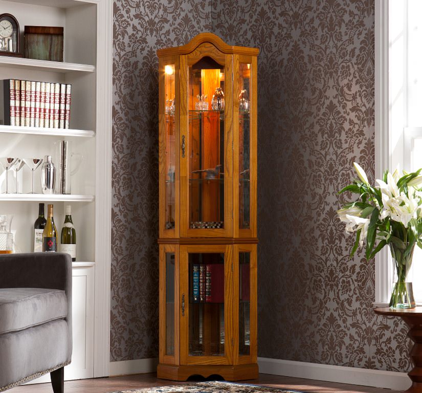 Image of: wooden curio cabinet with lights