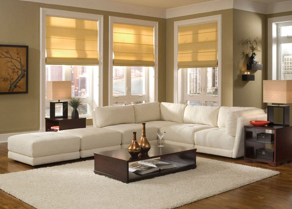Image of: couches for small living rooms design