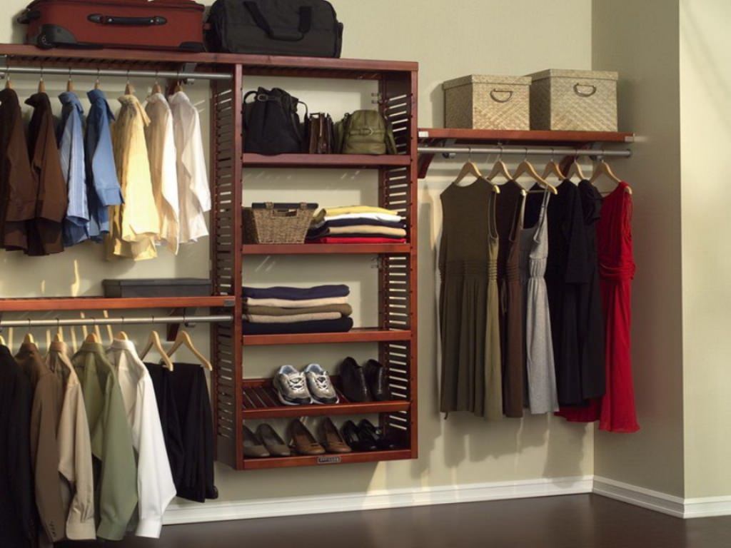 Image of: small walk in closet organization ideas style
