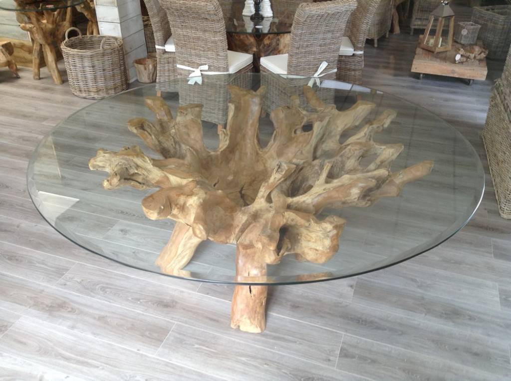 Image of: teak root table style