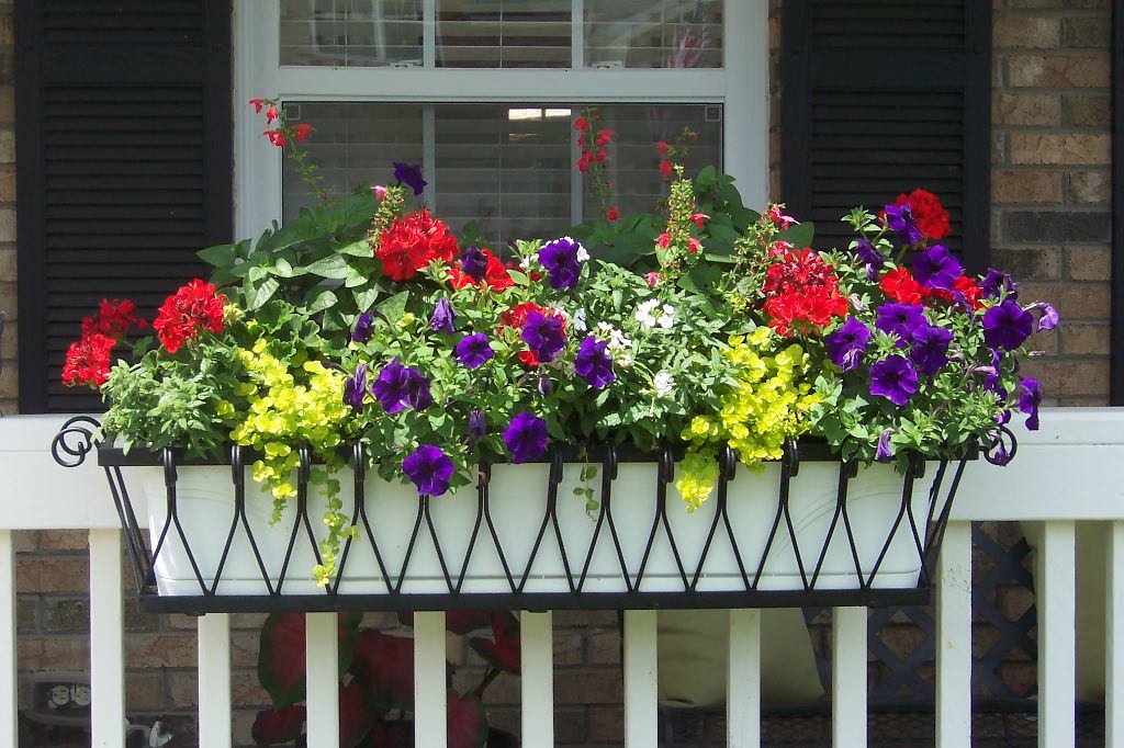Image of: diy window flower boxes
