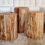 indoor-tree-stump-table