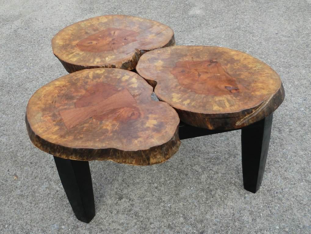 Image of: tree stump table design