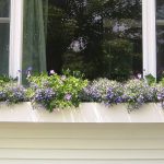 window-flower-boxes-ideas