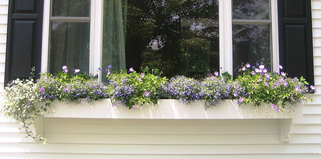 Image of: window flower boxes ideas