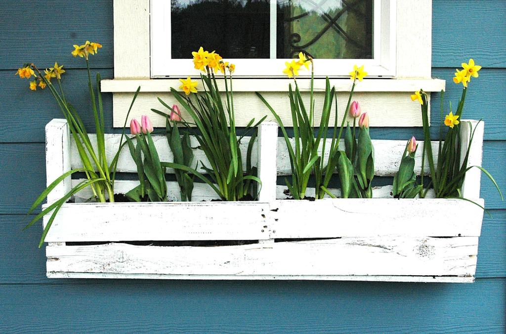 Image of: window flower boxes plans