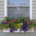 window-flower-boxes-style