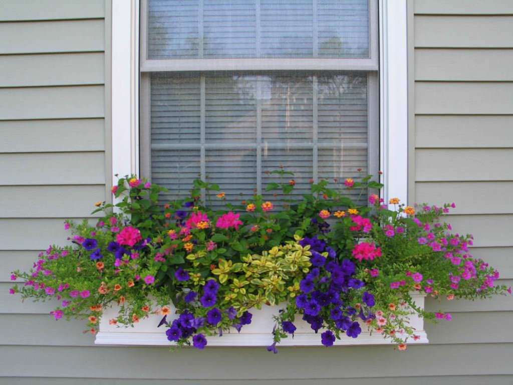 Image of: window flower boxes style