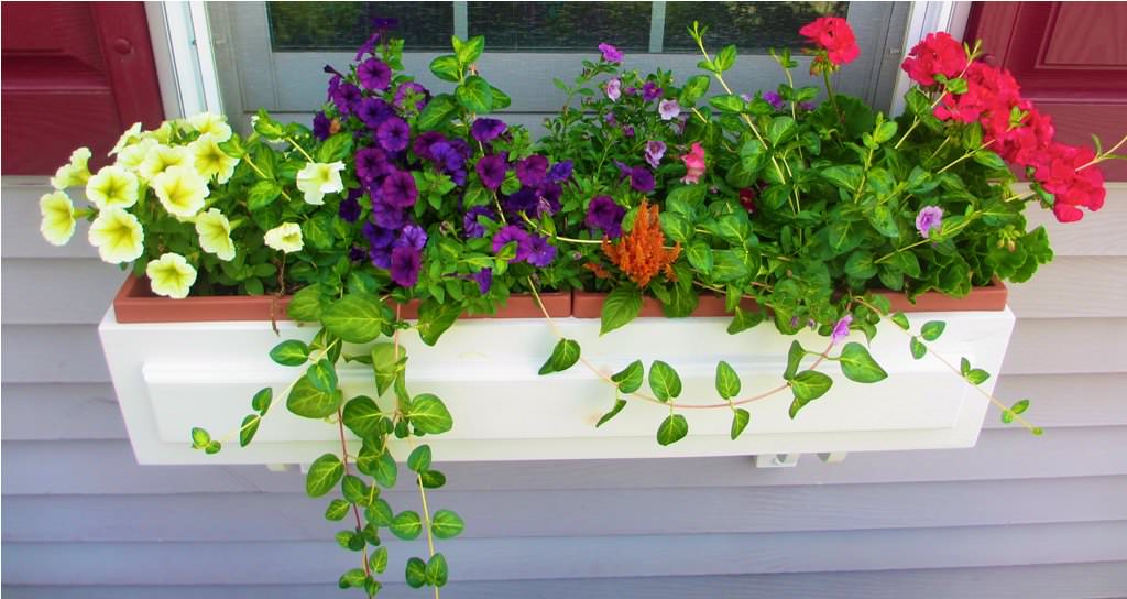 Image of: window flower boxes