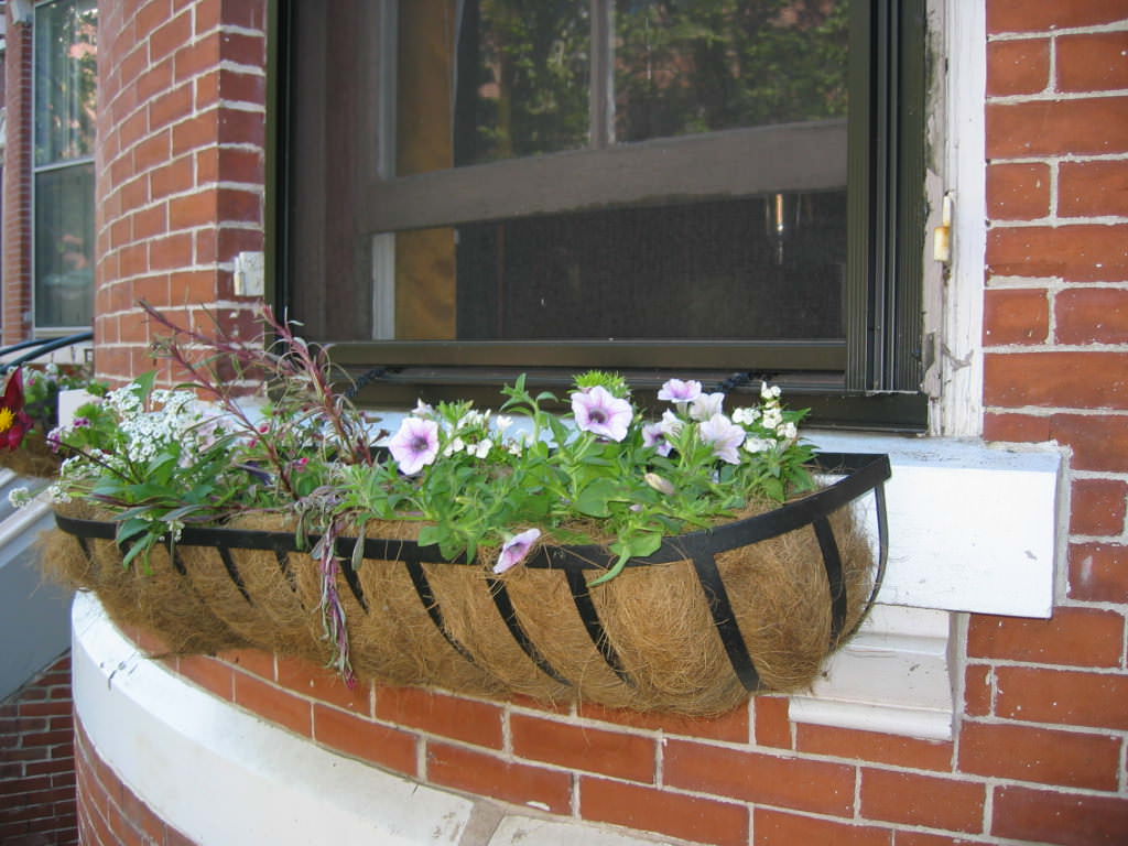 Image of: wrought iron window flower boxes