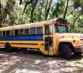 convert school bus to tiny house