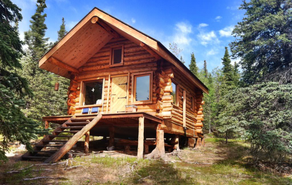 Image of: log cabin tiny house idea