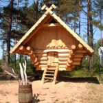 building your own tiny houses
