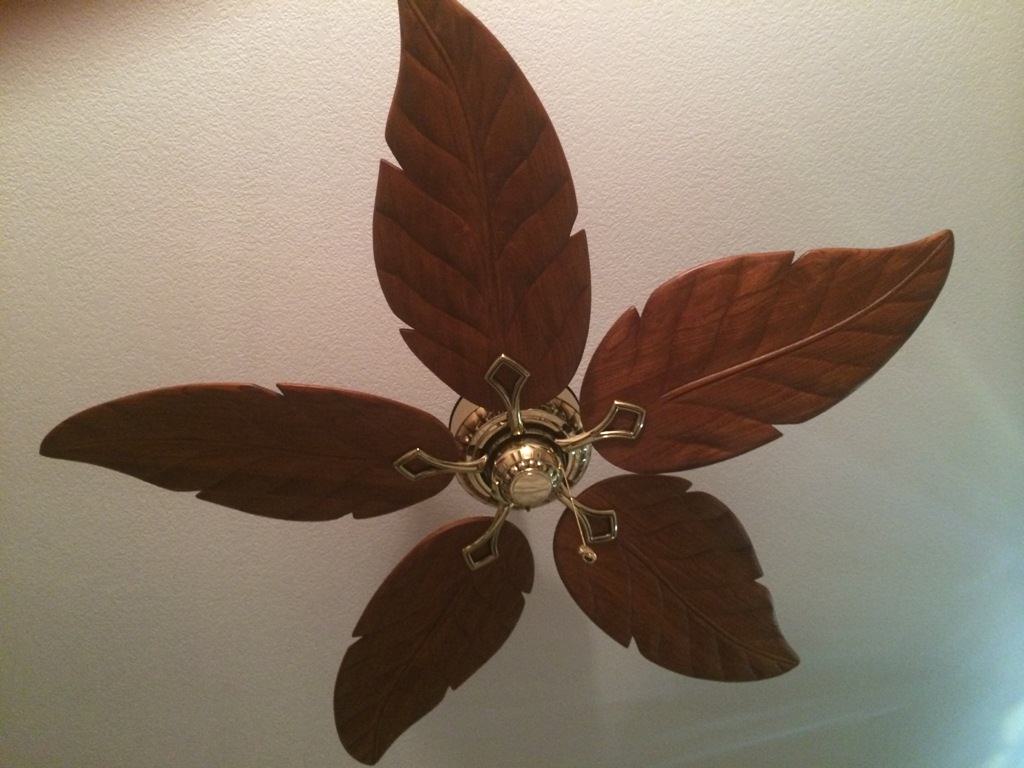 Image of: Amazon Ceiling Fans