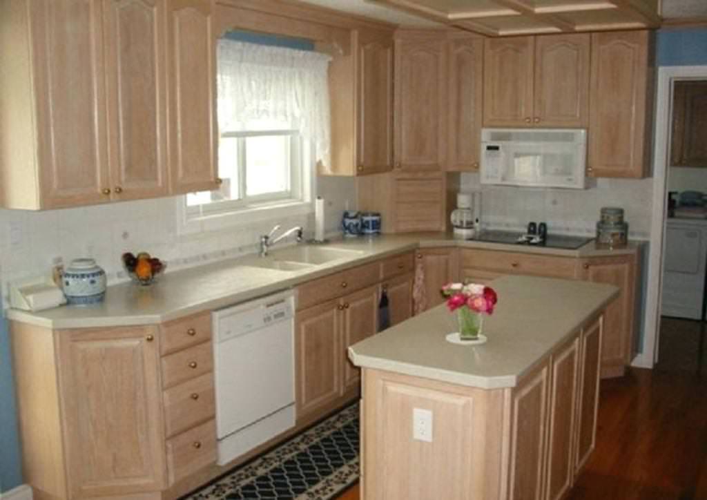 Image of: Home Depot Kitchen Cabinets Unfinished Design