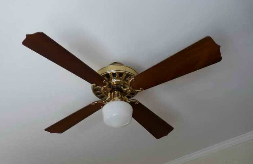 Image of: Indoor Ceiling Fans With Lights