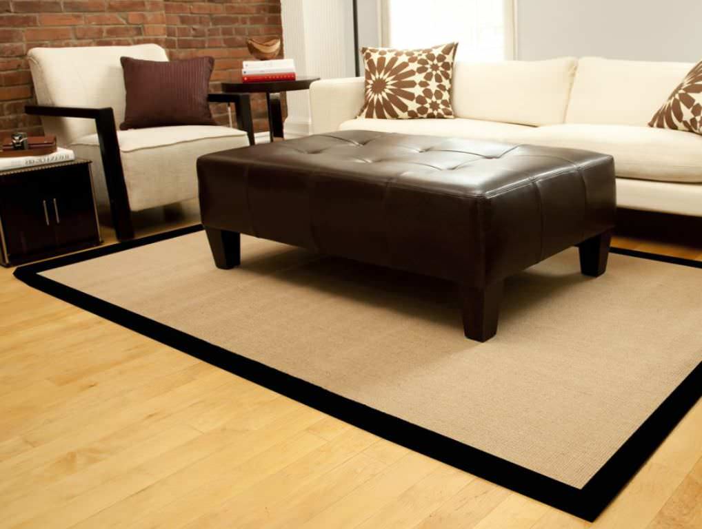 Image of: Sisal Rugs For Living Room