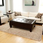 Sisal Rugs Idea For Living Room